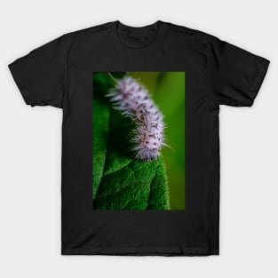 Black and White Caterpillar Macro Photo. Hickory Tussock Moth Caterpillar. T-Shirt